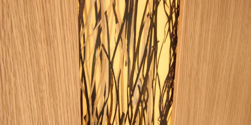 1. Smove 7.4E Modell 2019 (48)