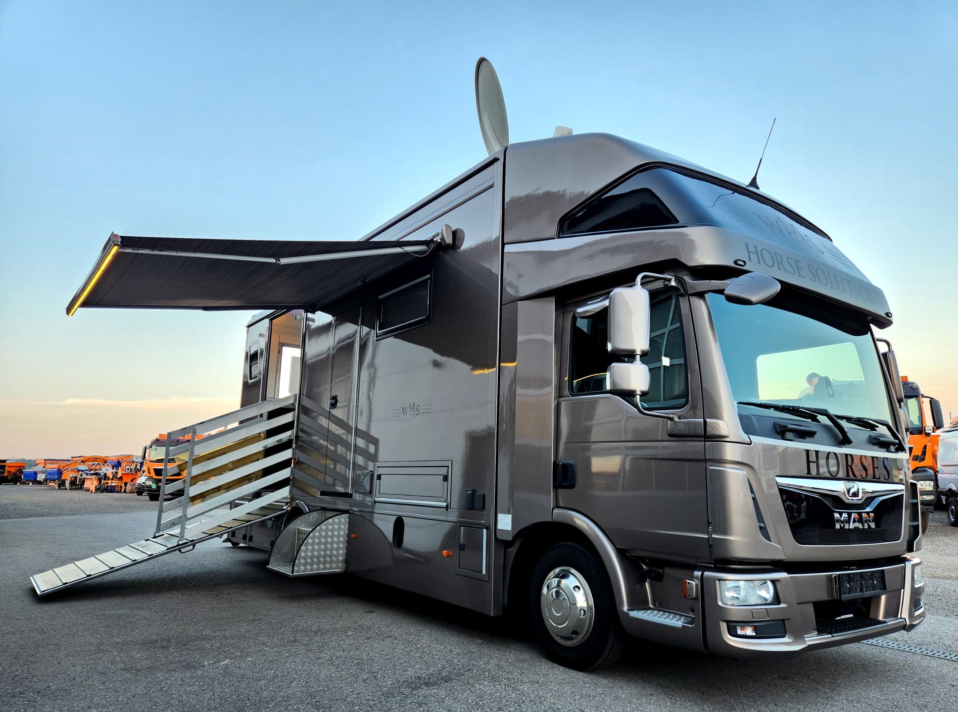 MAN TGL WMS Pferdetransporter